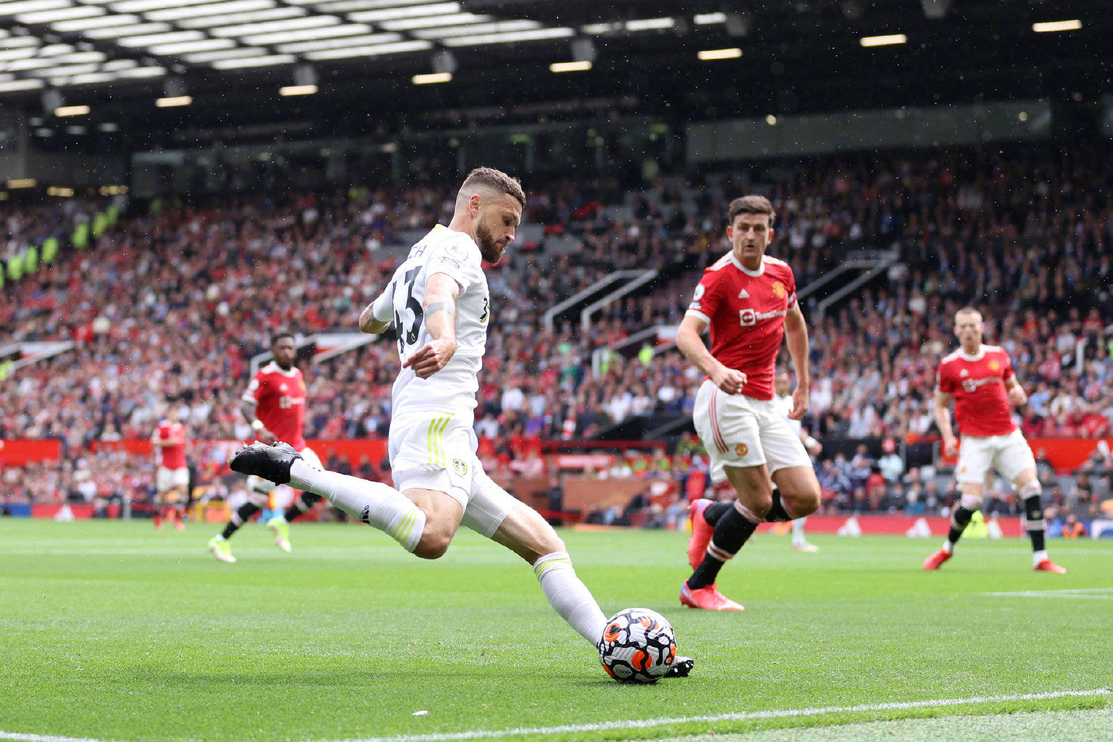 这种特质使 这种特质使